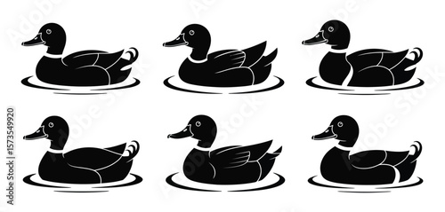 Six black silhouette mallard ducks floating on water surface