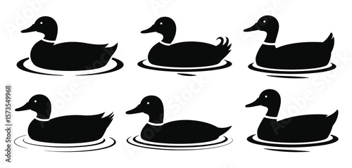 Six black silhouette mallard ducks swimming in water on a white background