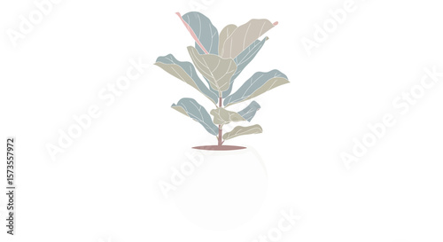 Pastel Fiddle Leaf Fig Plant Illustration