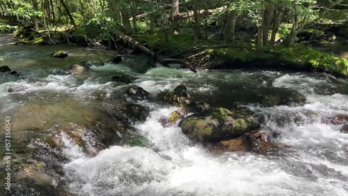 Little River rapids in Smoky Mountains great for travel and outdoor themes  
