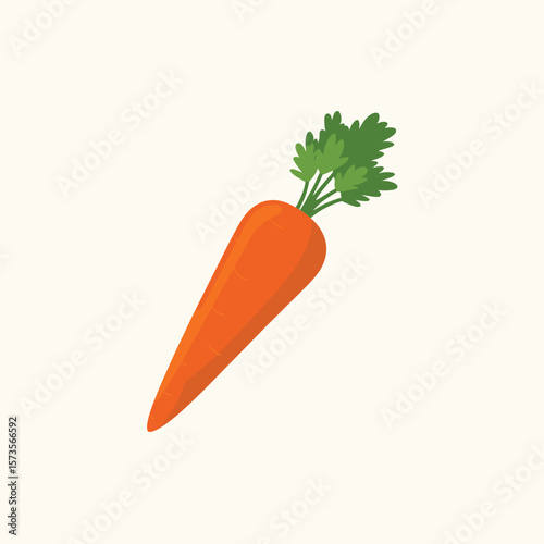 A single bright orange carrot with green leafy tops on a light background