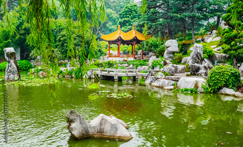 Photography The Chinese Garden of Friendship