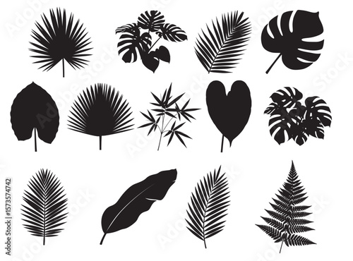 Tropical Leaves Silhouettes Set