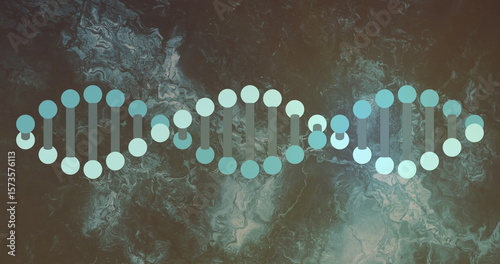 Displaying DNA helix segments in digital graphic art, with nucleotide circles and bond connectors