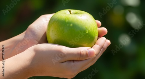 Pair of hands gently holding a vibrant green apple outside in nature representing healthy eating organic harvest and the gift of freshness in natural light against a bokeh
