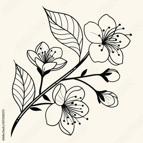 Elegant black and white blossom branch