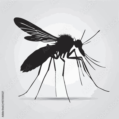vector illustration of a mosquito 