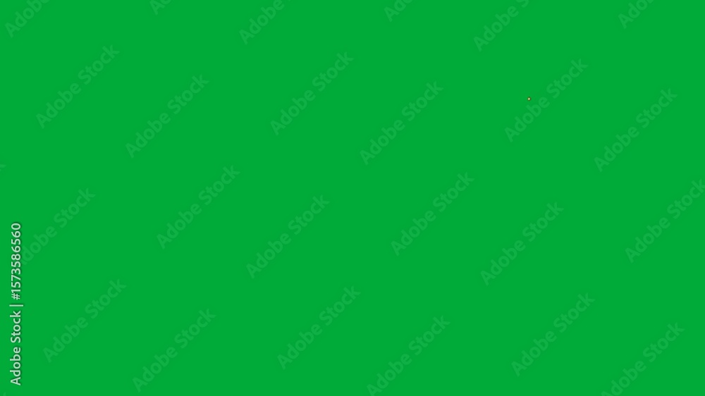 A green screen with white background and bird flying in the sky gold outline on it star middle bunch of flowers leaf red flower animated chromakey background backgrounds cartoonish
