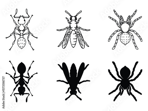 Insect and Spider Vector Set, Line Art and Silhouettes of Ant, Wasp, and Tarantula