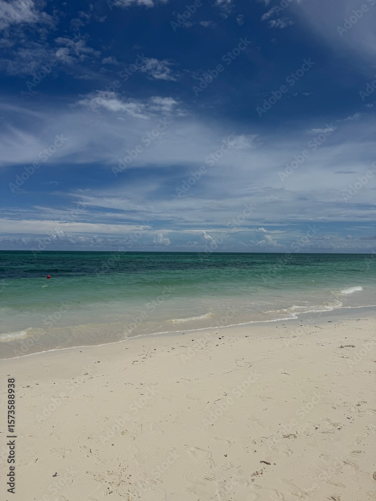 Fototapeta premium tropical beach in the Caribbean 