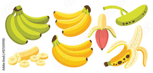 Collection of fresh bananas in various stages of ripeness and preparation