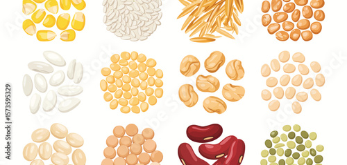 Collection of various healthy grains and legumes arranged in circles on white background