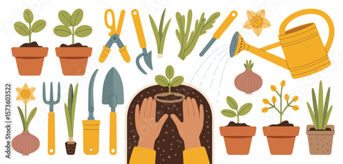 Gardening tools and plants in pots with hands planting a seedling