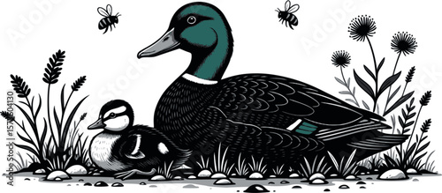 duck on the grass, Duck and Duckling Among Flowers, Animals and Their Babies