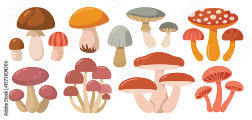 Collection of various flat design style mushrooms in different colors and shapes