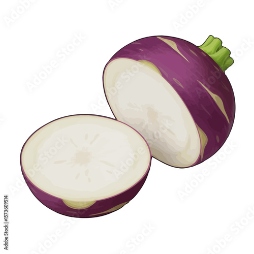 Purple-Skinned Turnip Cut in Half Against a Black Background