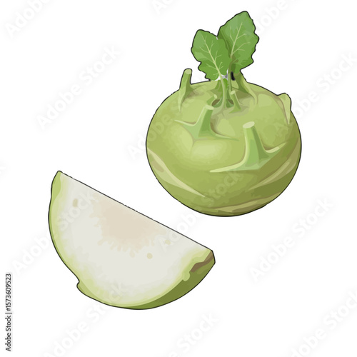 Kohlrabi Still Life: Whole and Sliced Vegetable 