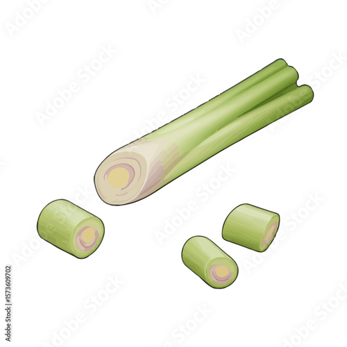 Lemongrass Illustration with Slices 