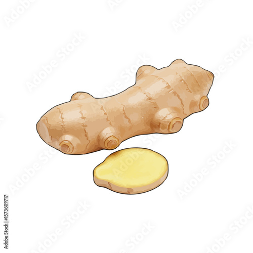 Fresh Ginger Root and Slice 