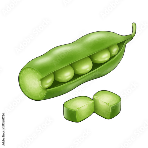 Fresh Fava Bean Pods and Slices with Vivid Green Color