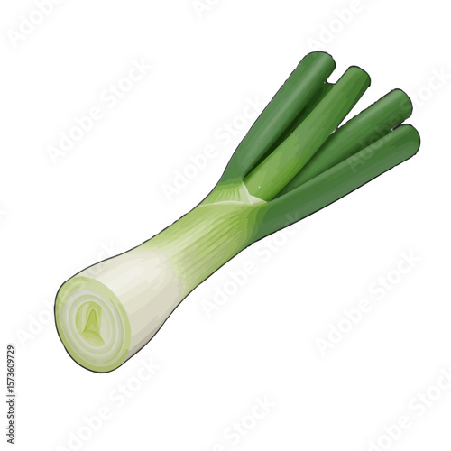 Fresh and vibrant illustration of a single spring onion 