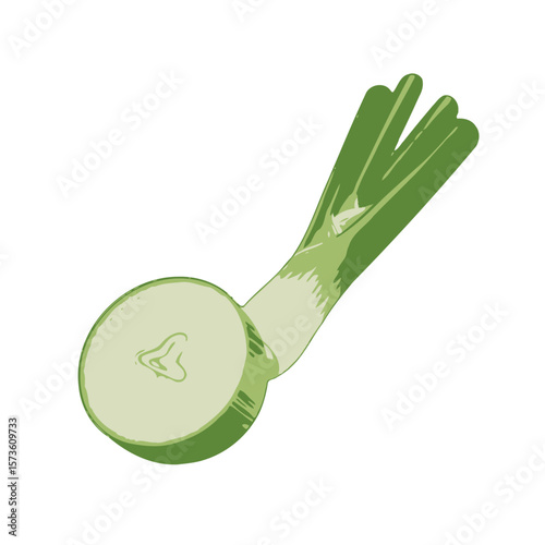 Fresh Leek and Slice Illustration 