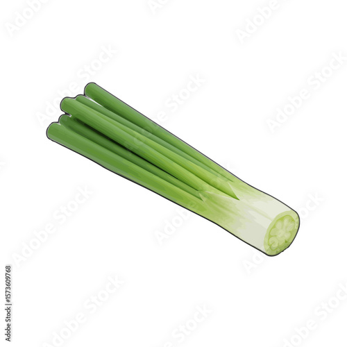 Fresh Green Onions: Vibrant and Versatile Culinary Ingredient 