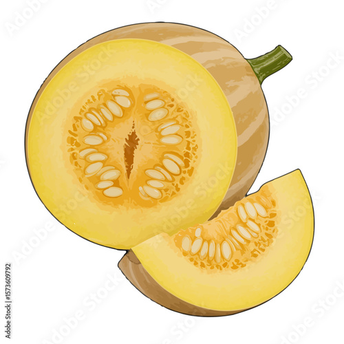 Butternut squash with section cut out 