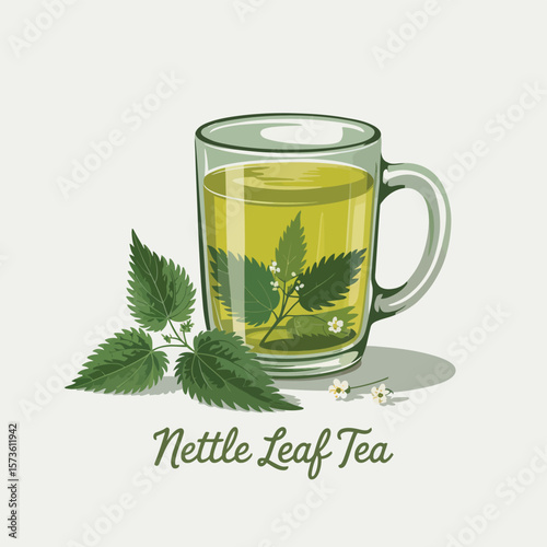 Refreshing nettle leaf tea in a glass mug with fresh stinging nettle leaves