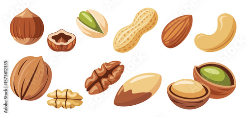 Collection of various nuts and seeds isolated on white background in a flat design style