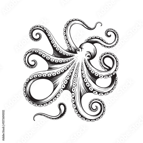 Detailed black and white illustration of an octopus with swirling tentacles and visible suckers isolated on a white background