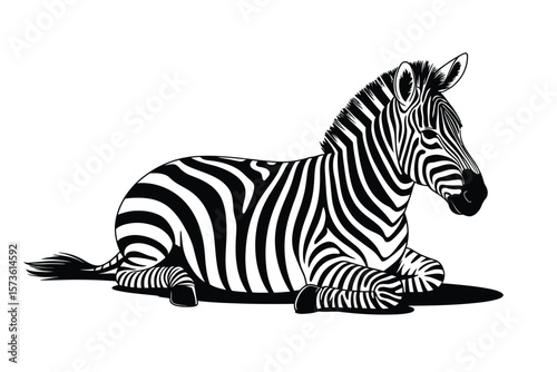 Stylized black and white illustration of a zebra resting on a white background
