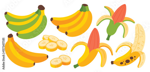 Collection of Colorful Banana Illustrations