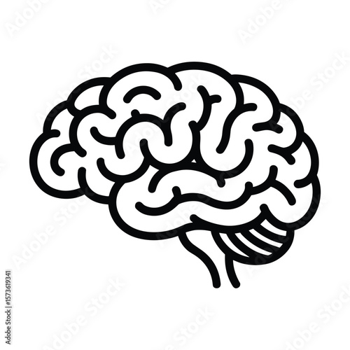 Human Brain Anatomy Detailed Line Art Illustration of the Cerebral Cortex, Cerebellum, and Brainstem