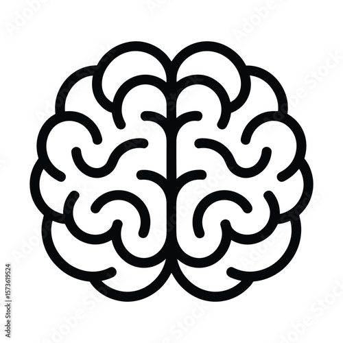 Human Brain Anatomy Detailed Line Art Illustration of the Cerebral Cortex