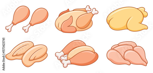 Different Cuts of Chicken Illustration