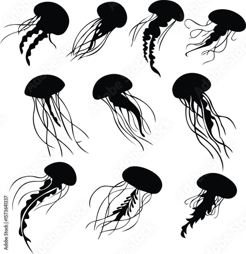 Grace Beneath the Waves Elegant Jellyfish Silhouette Underwater Marine Life Vector