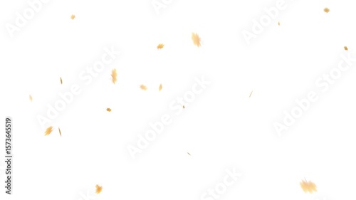 Animated of falling maple leaves, autumn leaves animated background, with alpha channel