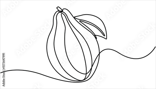 Continuous one single minimal line drawing papaya. Continuous single one line drawing of fresh papaya exotic tropical fruit vector illustration.