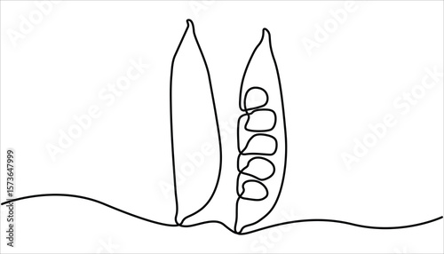 Continuous one line drawing of whole healthy organic pea for harvesting logo identity. Continuous one line drawing peas. Vector illustration. Single Line Drawing of Fresh Green Peas in Pod. 