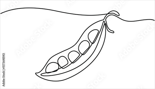 Continuous one line drawing of whole healthy organic pea for harvesting logo identity. Continuous one line drawing peas. Vector illustration. Single Line Drawing of Fresh Green Peas in Pod. 