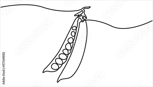 Continuous one line drawing of whole healthy organic pea for harvesting logo identity. Continuous one line drawing peas. Vector illustration. Single Line Drawing of Fresh Green Peas in Pod. 