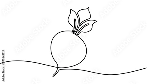 Beetroot in continuous line art drawing style. One single line drawing of whole healthy organic red radish for farm logo identity. One line drawing illustration of growing radish. 