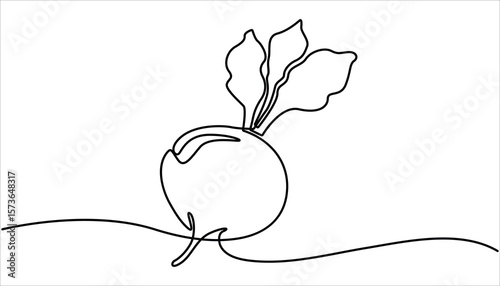 Beetroot in continuous line art drawing style. One single line drawing of whole healthy organic red radish for farm logo identity. One line drawing illustration of growing radish. 