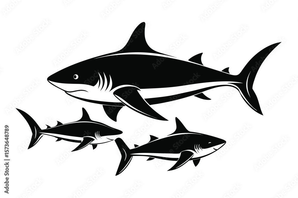 Obraz premium shark vector illustration