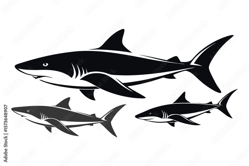 Obraz premium shark vector illustration