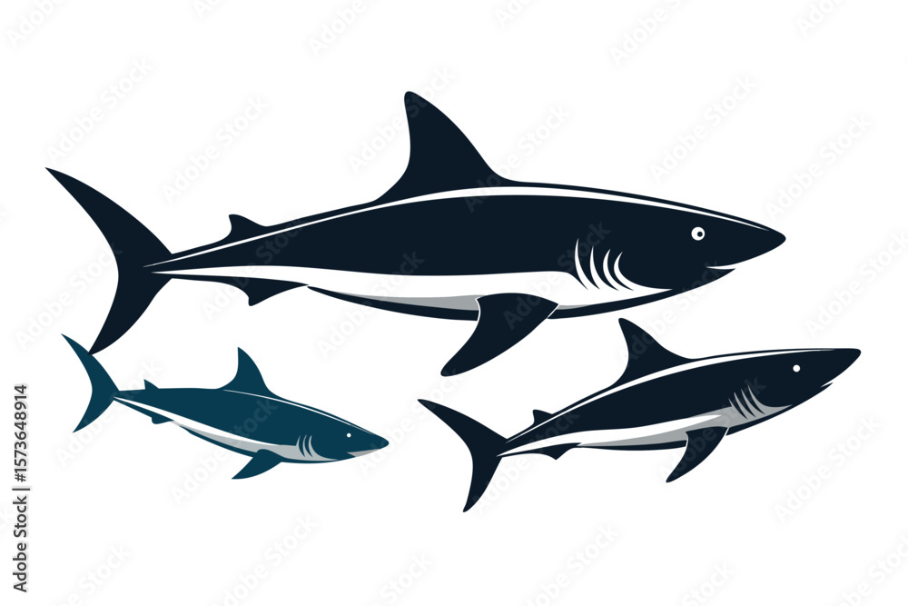 Naklejka premium shark vector illustration