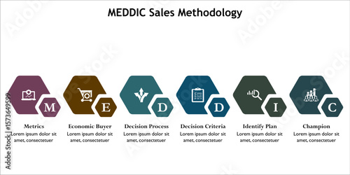 MEDDIC Sales Methodology. Infographic template with icons and description placeholder