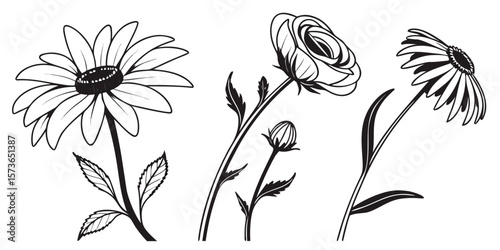 Delicate flower outline: Exquisite flower with its simple line work and captivating design, flower invites viewers to pause and appreciate the timeless beauty of natural art.