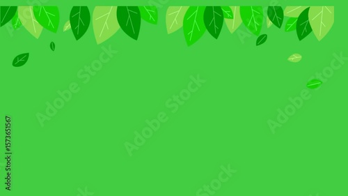 Row of green leaves animation. A seamless looping motion graphic showing leaves neatly lined up at the top, perfect for eco-friendly videos, nature-themed backgrounds, organic product promotions, or b